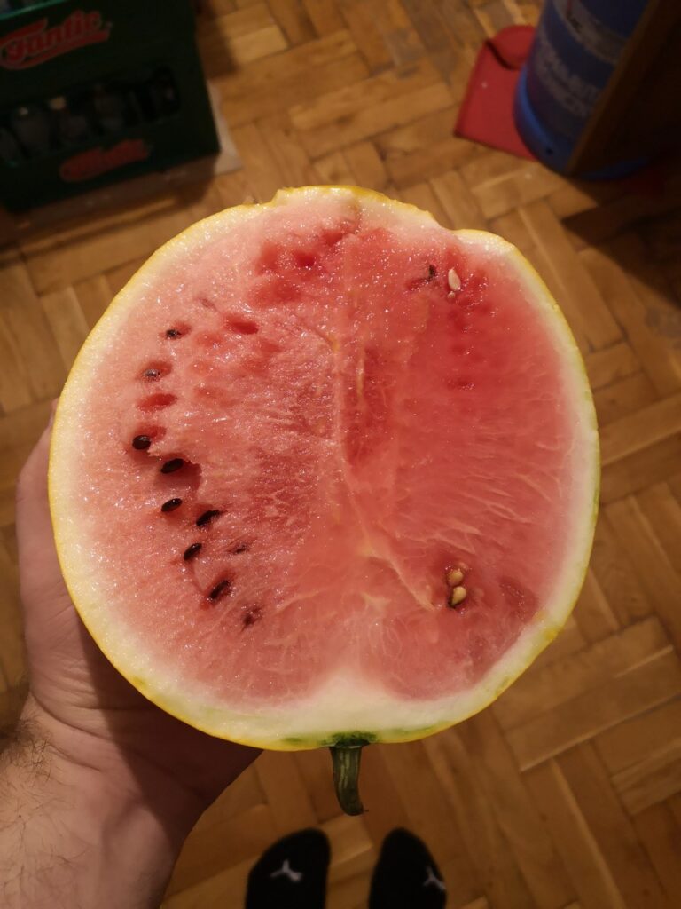 smaczny owoc arbuza 